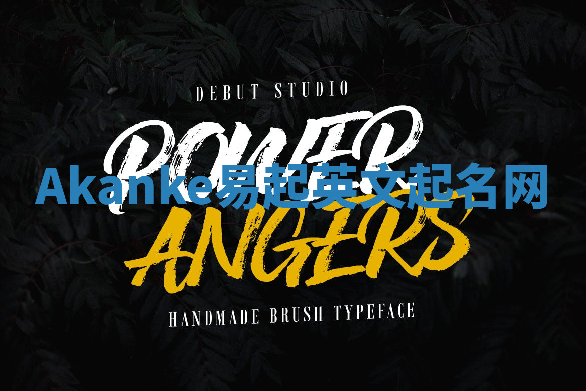 Akanke易起英文起名网