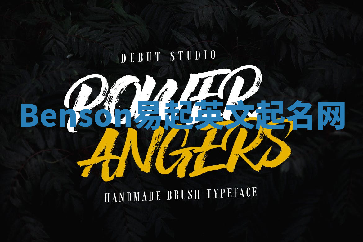 Benson易起英文起名网 Benson易起英文起名网