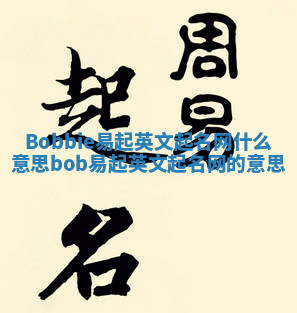 Bobbie易起英文起名网什么意思 bob易起英文起名网的意思