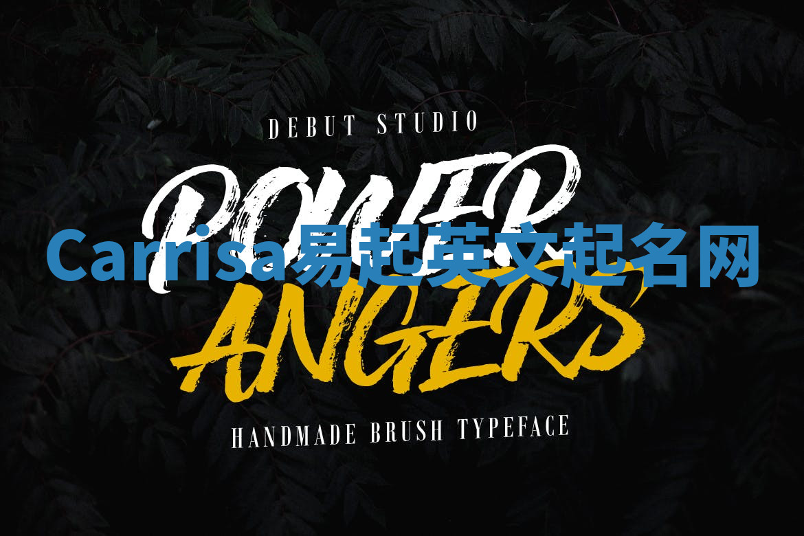 Carrisa易起英文起名网