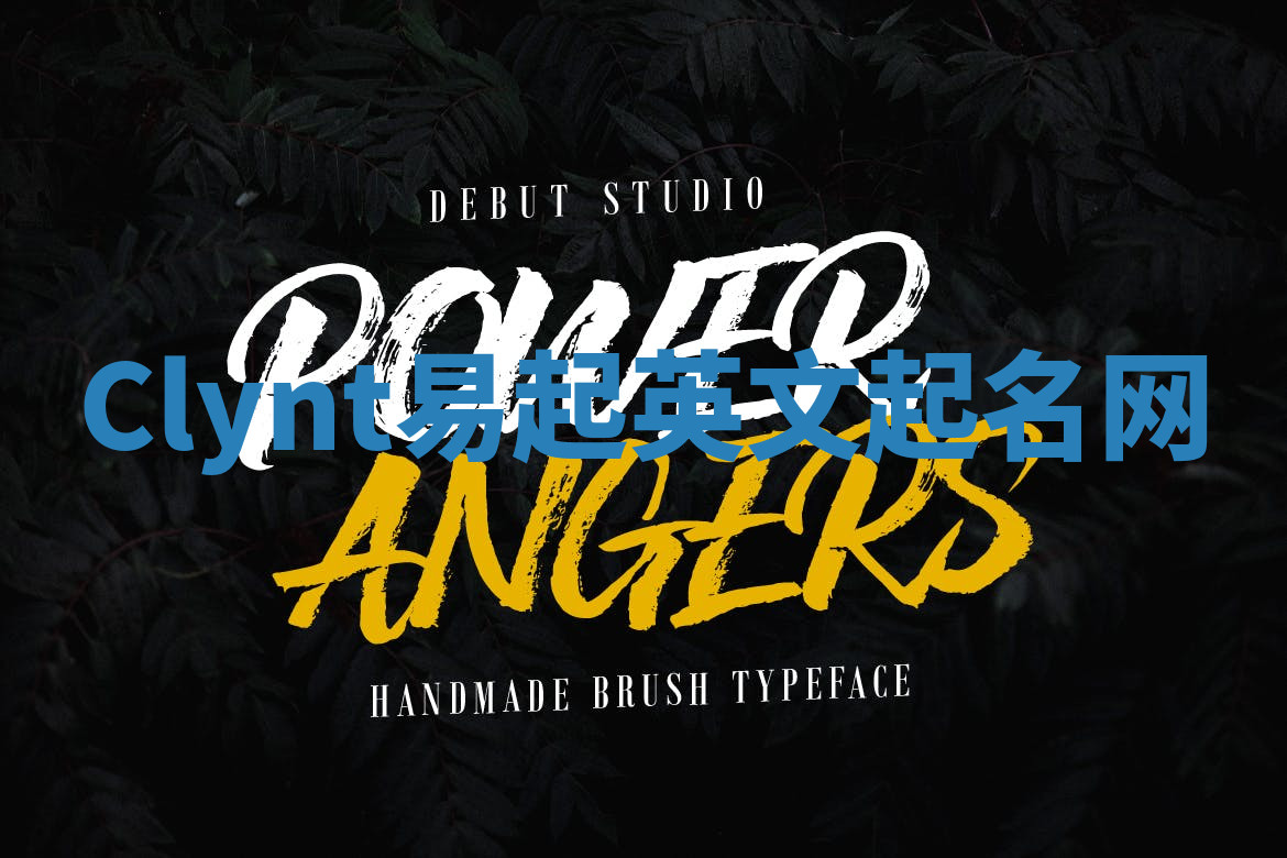 Clynt易起英文起名网