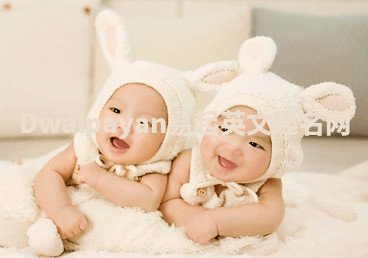 Dwaipayan易起英文起名网