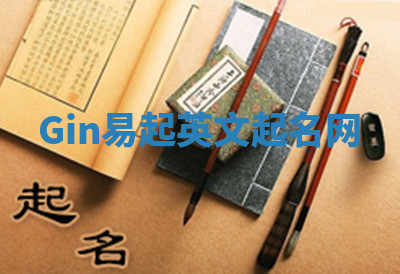 Gin易起英文起名网 Gin易起英文起名网