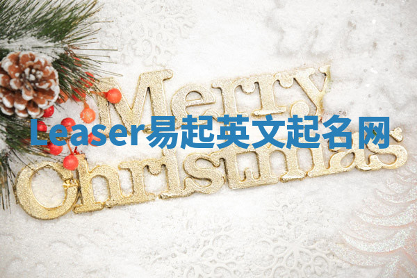 Leaser易起英文起名网