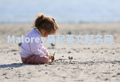 Malorey易起英文起名网