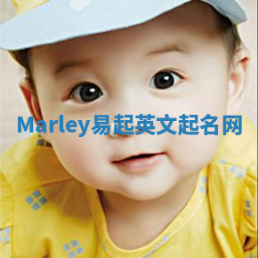 Marley易起英文起名网
