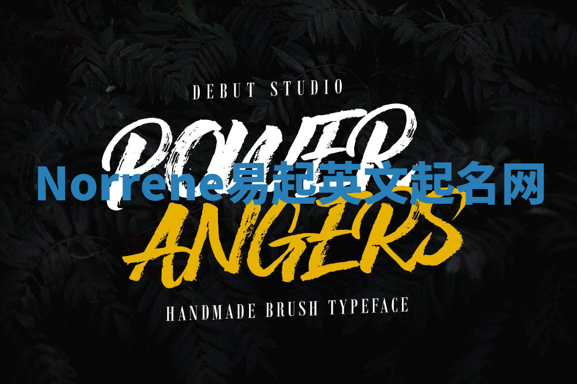 Norrene易起英文起名网 Norrene易起英文起名网