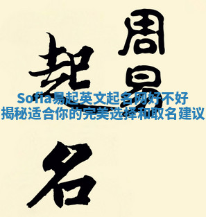 Sofia易起英文起名网好不好揭秘 适合你的完美选择和取名建议