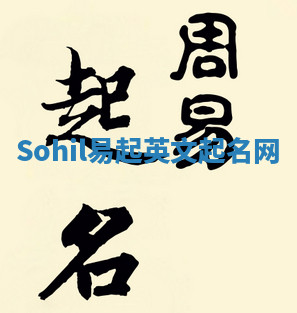 Sohil易起英文起名网