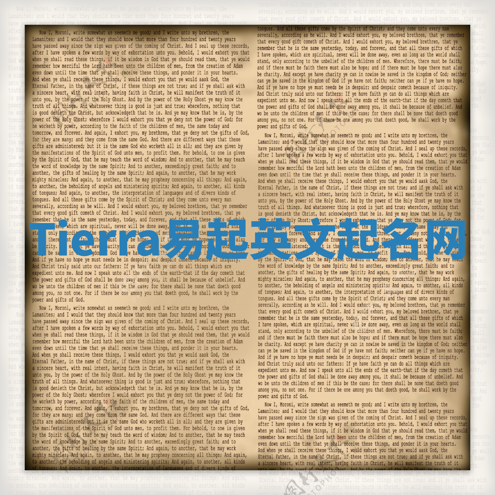 Tierra易起英文起名网