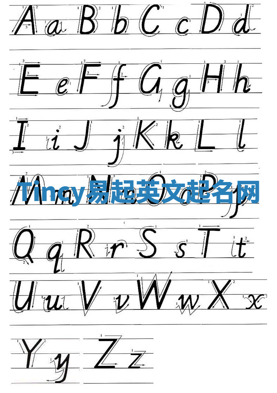 Tincy易起英文起名网