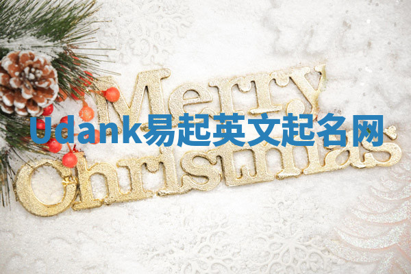 Udank易起英文起名网