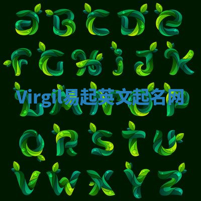 Virgil易起英文起名网