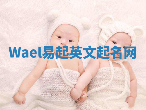 Wael易起英文起名网 Wael易起英文起名网