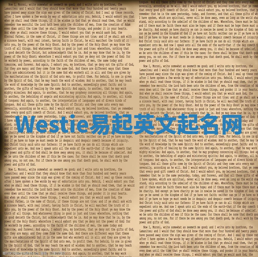 Westie易起英文起名网